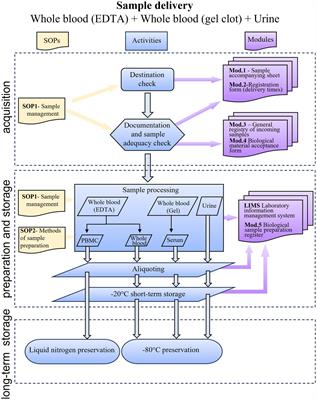 Building a rheumatology biobank for reliable basic/translational research and precision medicine